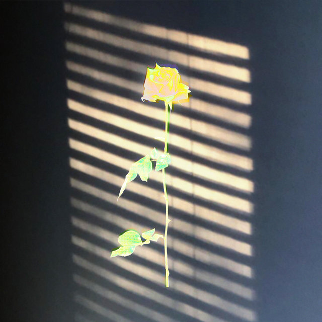 The Prettiest Flowers Have the Sharpest Thorns