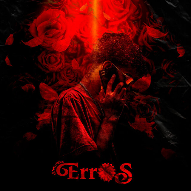 Erros