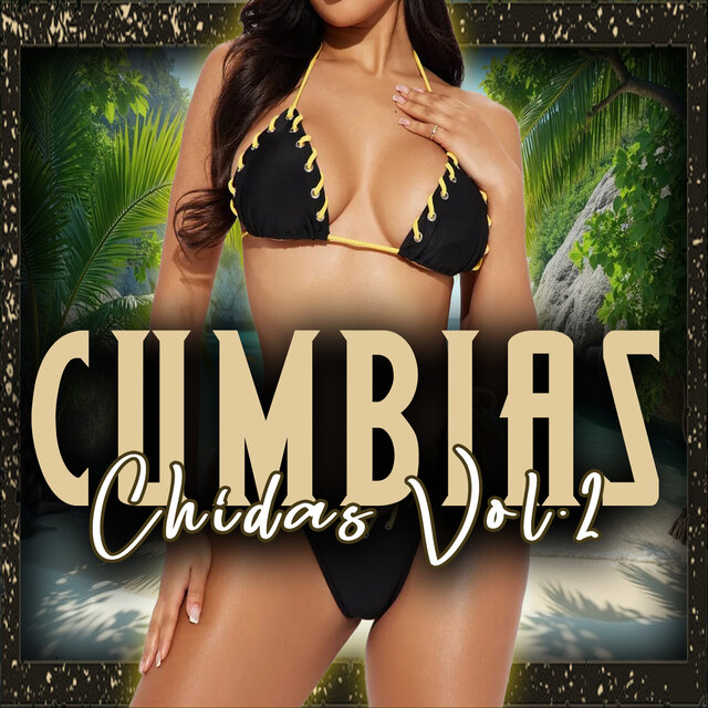 Cumbias Chidas, Vol. 2