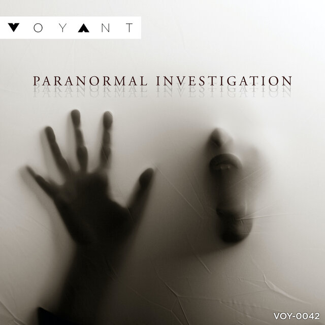 Paranormal Investigation