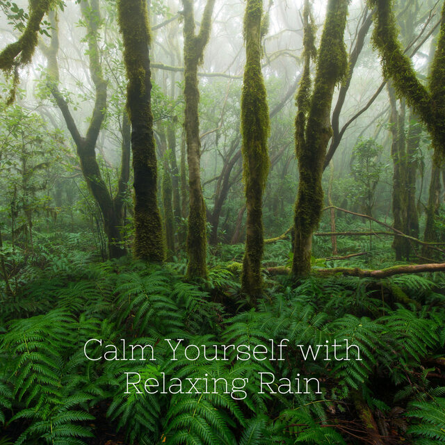 Calm Yourself with Relaxing Rain