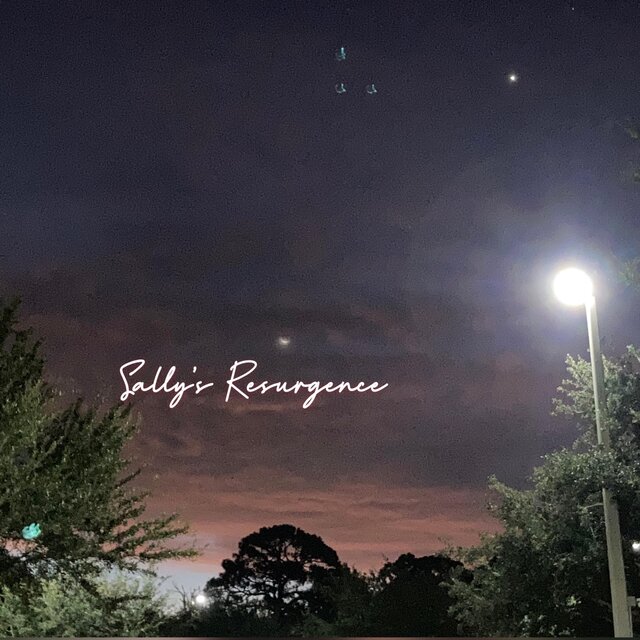 Sally's Resurgence