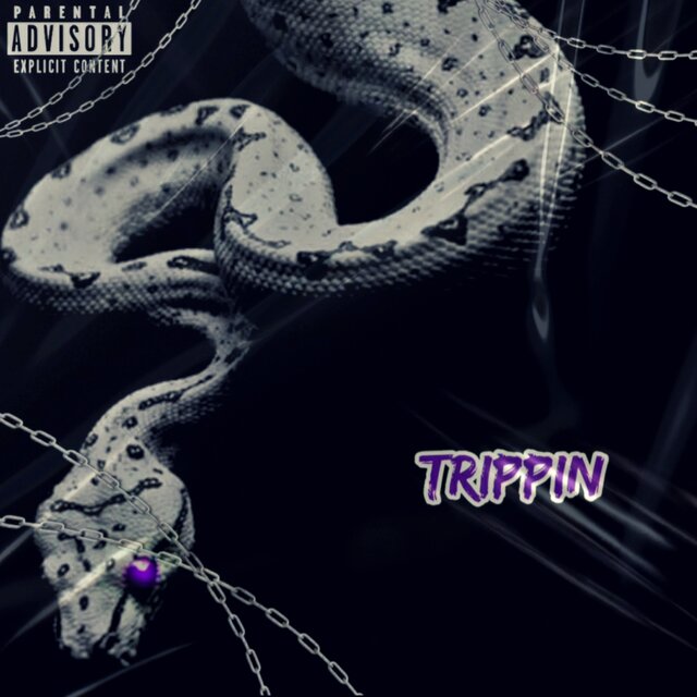 TRIPPIN