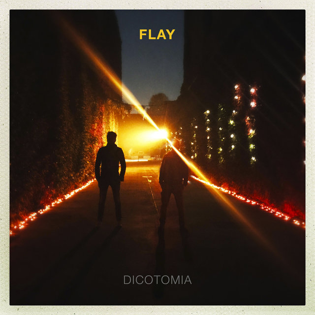 Dicotomia