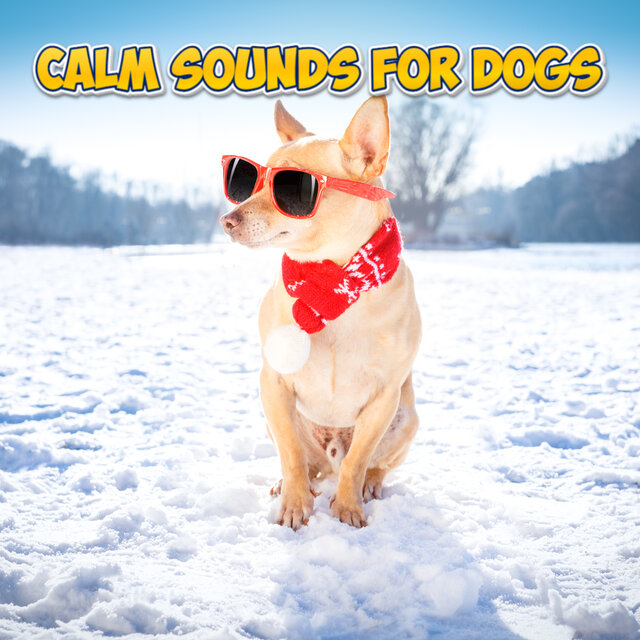 Calm Heartbeats For Dogs