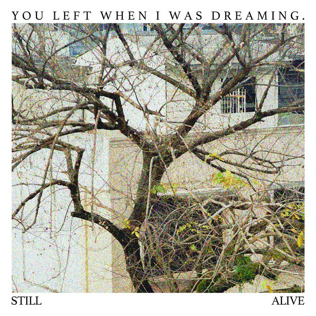 You Left When I Was Dreaming
