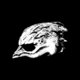 Cover art for album Legend of the Seagullmen by Legend Of The Seagullmen