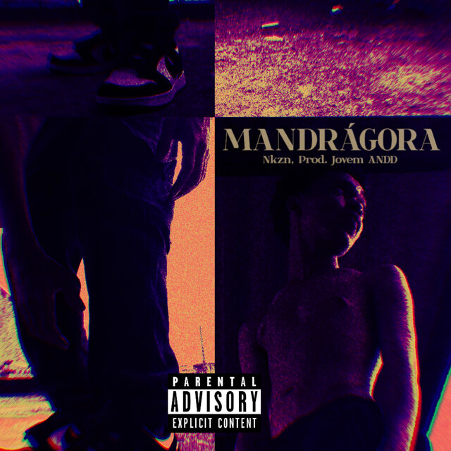 Mandrágora