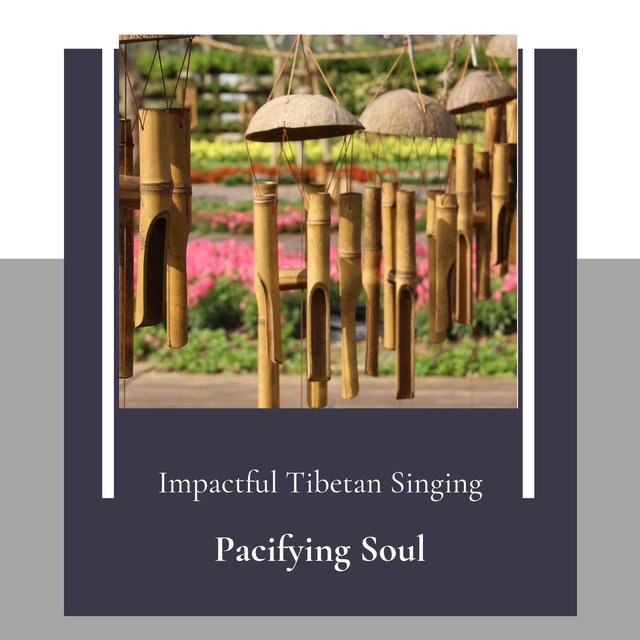 Pacifying Soul (Impactful Tibetan Singing)
