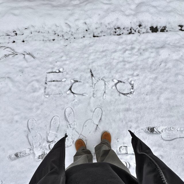 echo