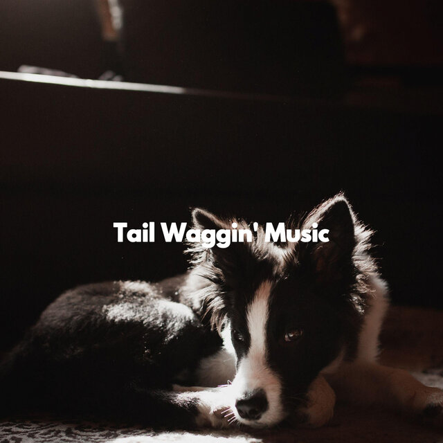 Tail Waggin' Music