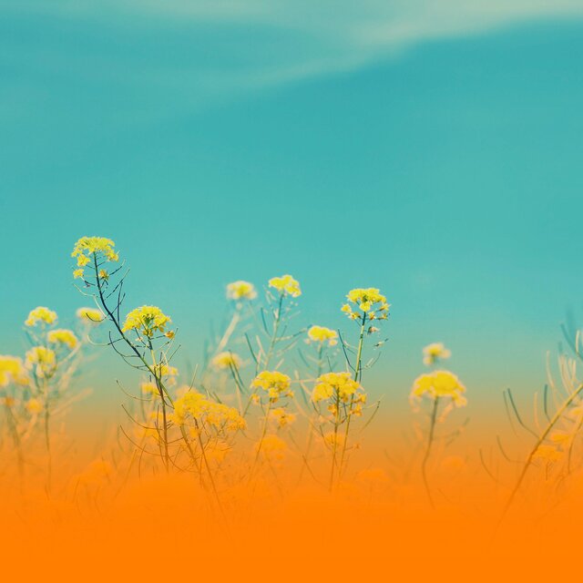 Peaceful Instrumental Music For Yoga And Holistic Healing