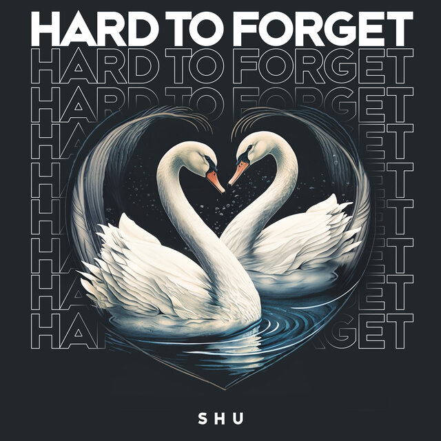 Hard To Forget