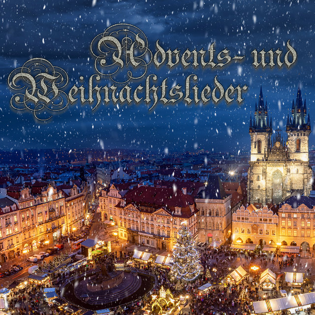 Advents- Und Weihnachtslieder (Orgelmusik)