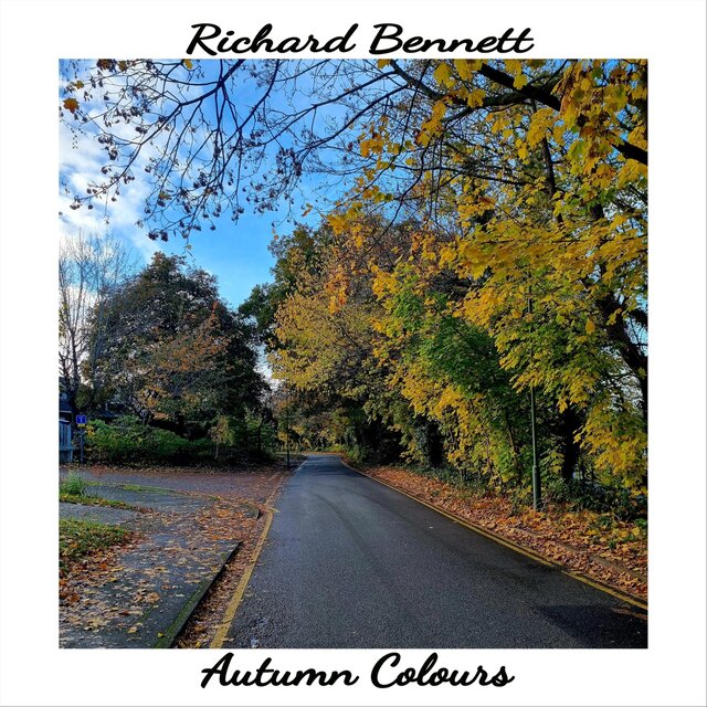 Autumn Colours