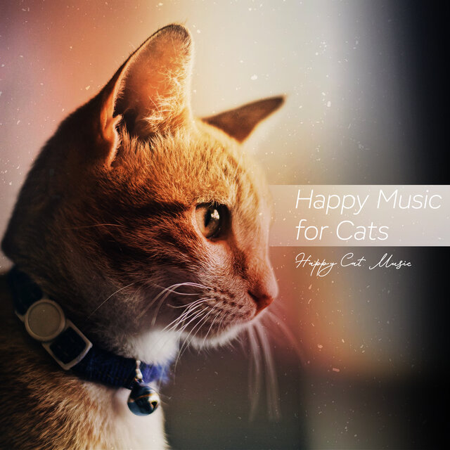 Happy Music for Cats