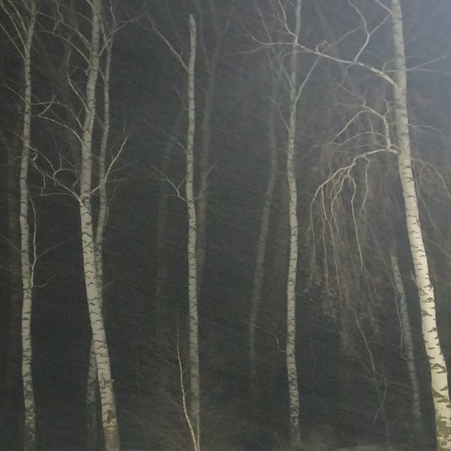 This Village
