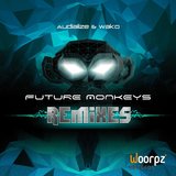 Drifting Beyond Reality (Future Monkeys Remix)
