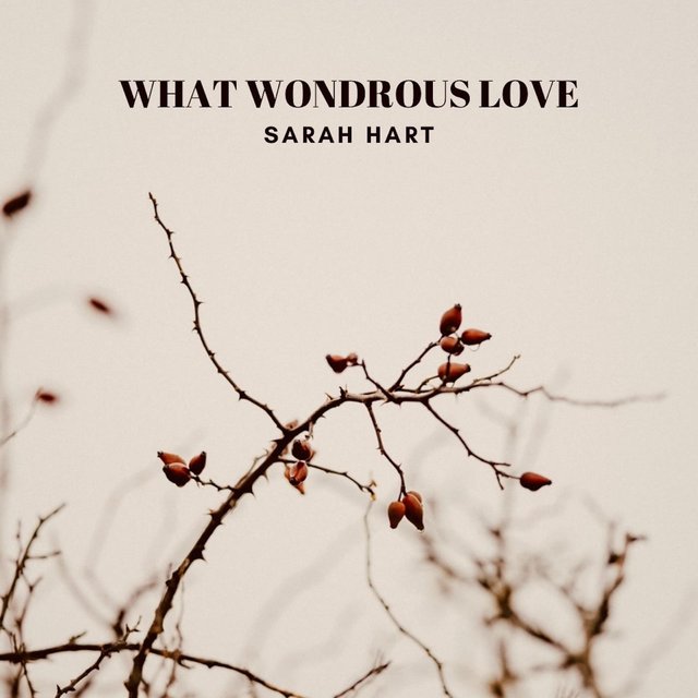 What Wondrous Love