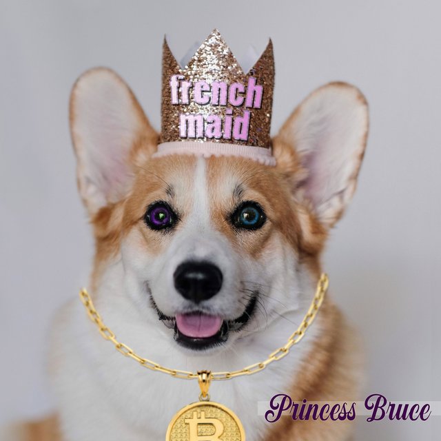 Princess Bruce