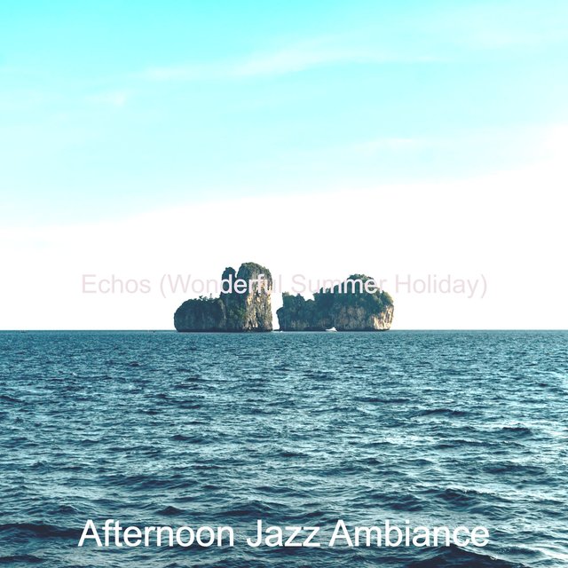 Echos (Wonderful Summer Holiday)