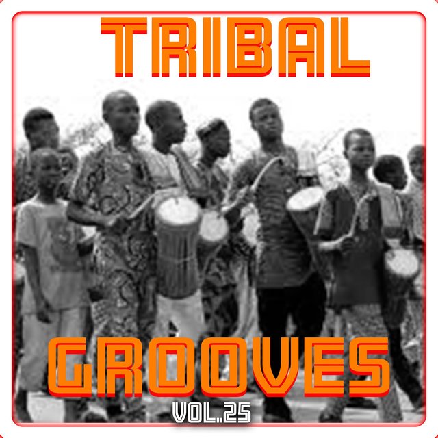 Tribal Grooves Vol. 25