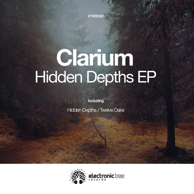 Hidden Depths