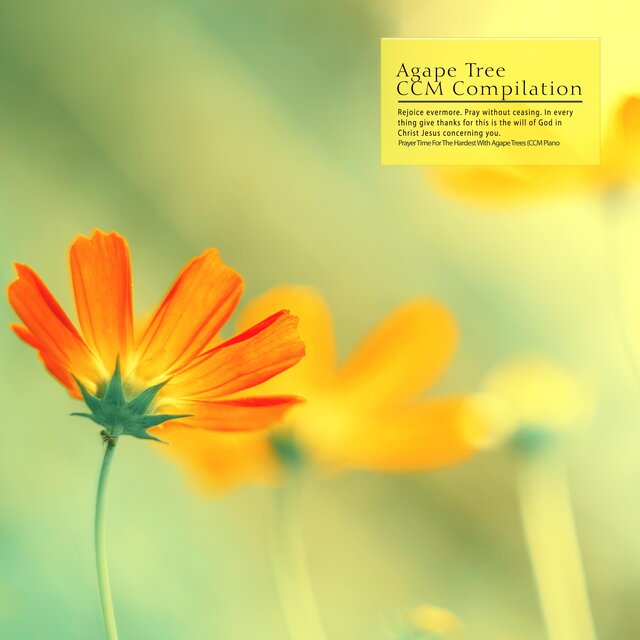 Prayer Time For The Hardest With Agape Trees (CCM Piano)
