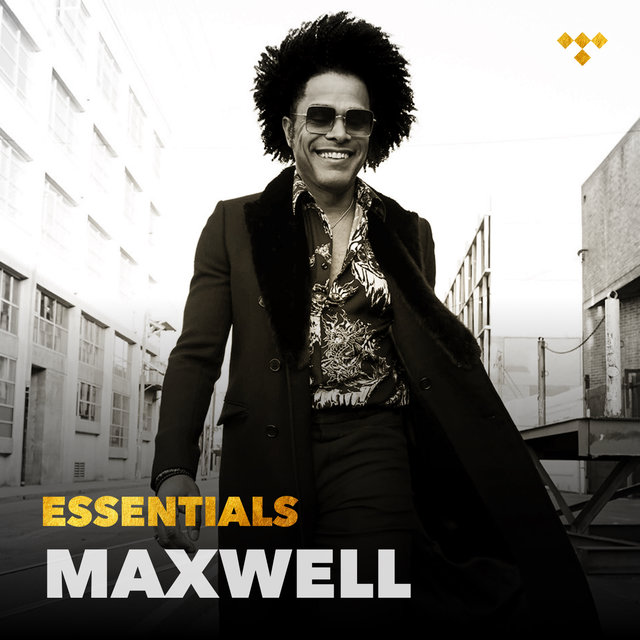 Maxwell Essentials