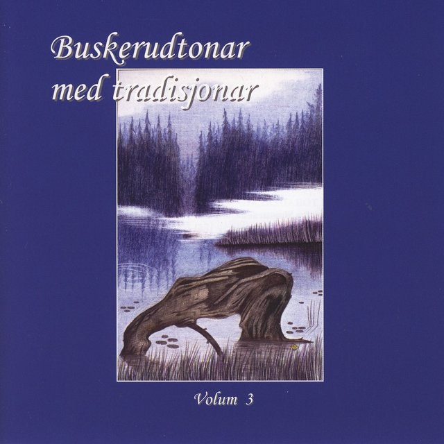 Buskerudtonar Med Tradisjonar, Vol. 3