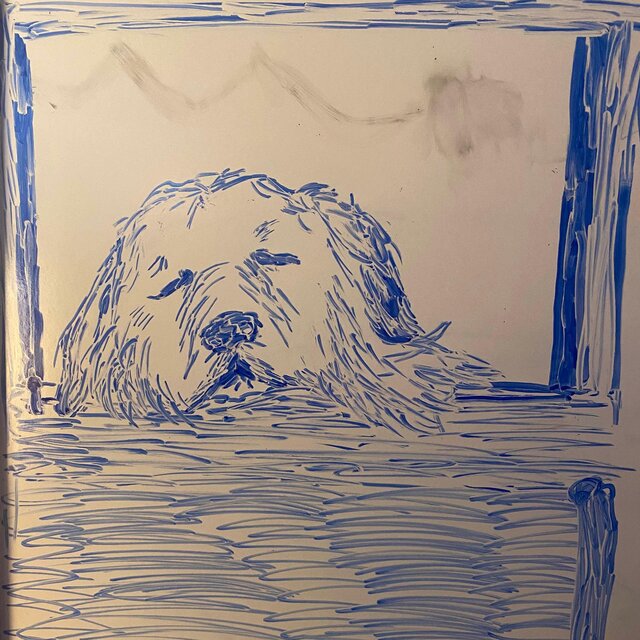 White Dog There