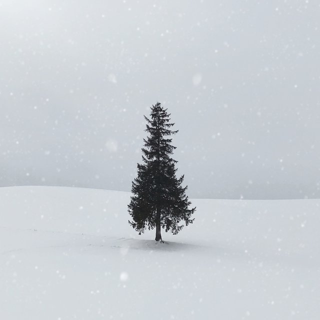 Christmas Around The World