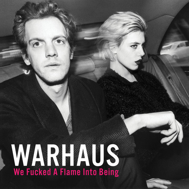 Cover art for album We Fucked a Flame Into Being by Warhaus