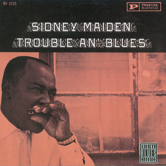 Trouble An' Blues