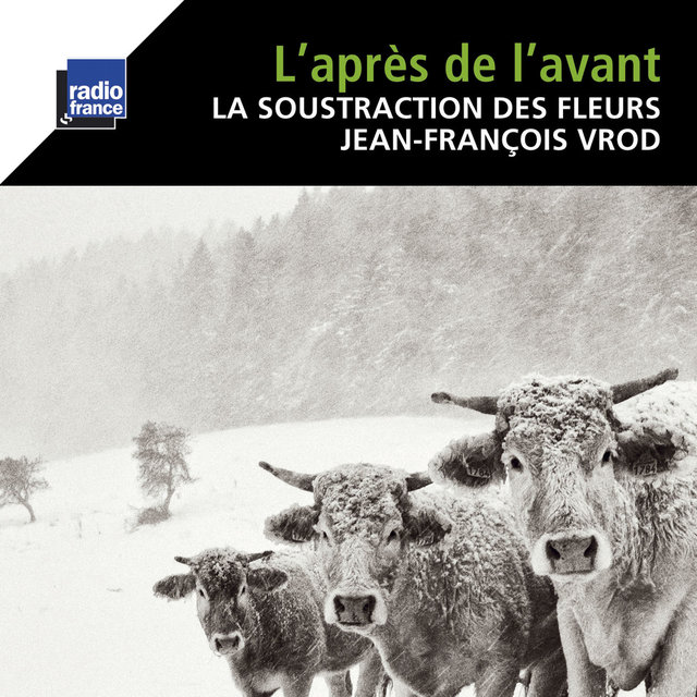 Vrod: L'après de l'avant
