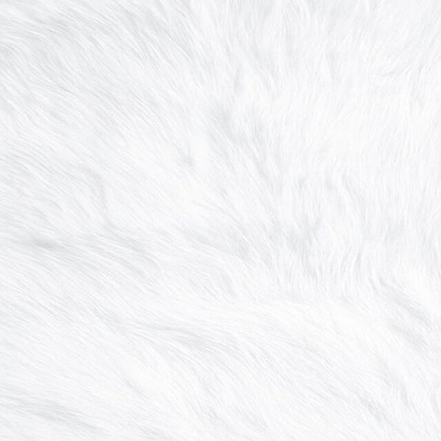 Caballo blanco