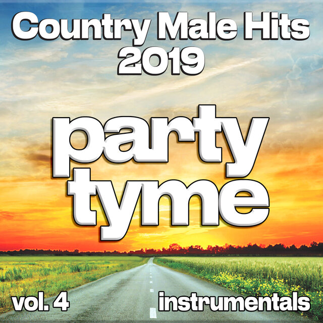 Country Male Hits 2019, Vol. 4 (Instrumental)