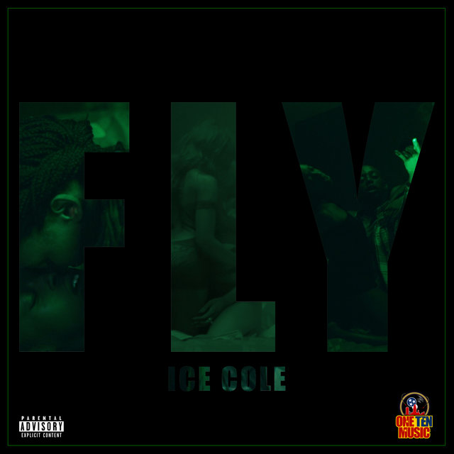 FLY