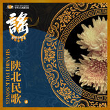 就爱咱陕北过大年