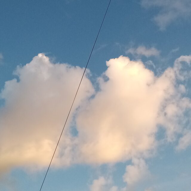 Fly