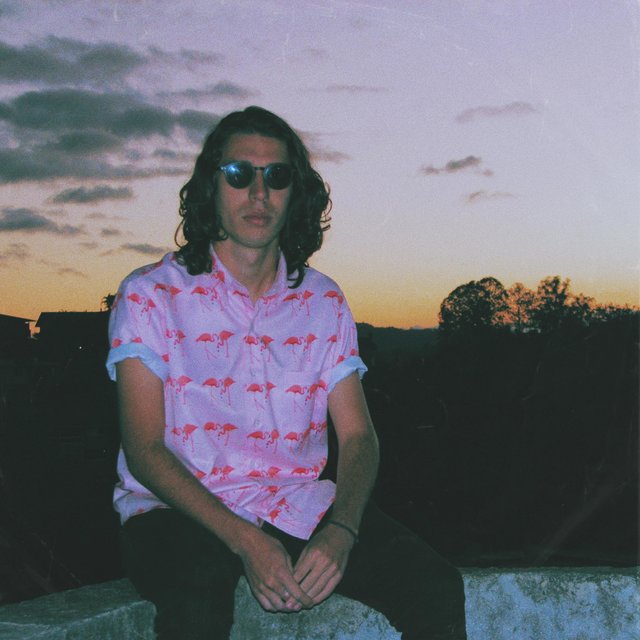 Chico Flamingo
