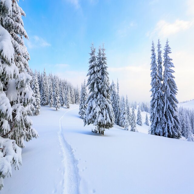 Winterreis 2