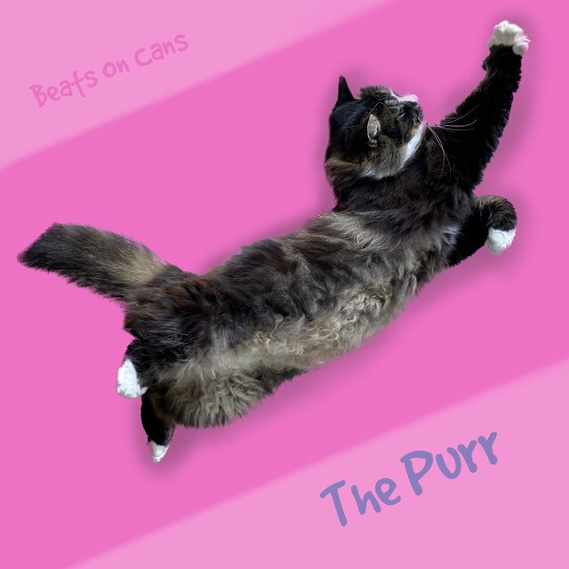 The Purr