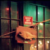 Splashdown at Reflection Town (feat. Grant Calvin Weston, Lee Clarke & Timothy Ragsdale)