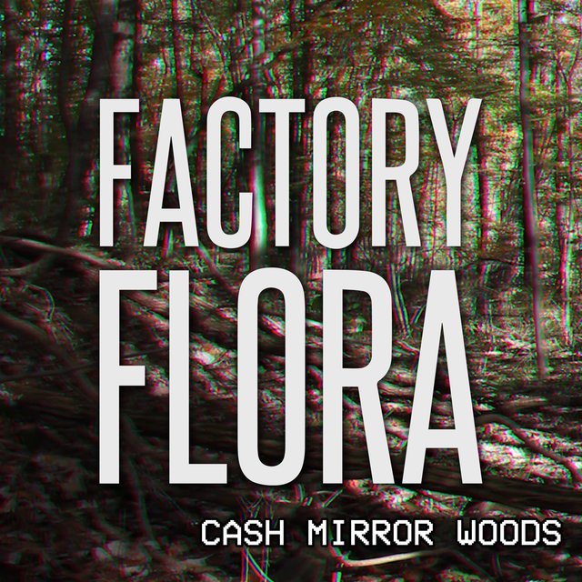 Cash Mirror Woods