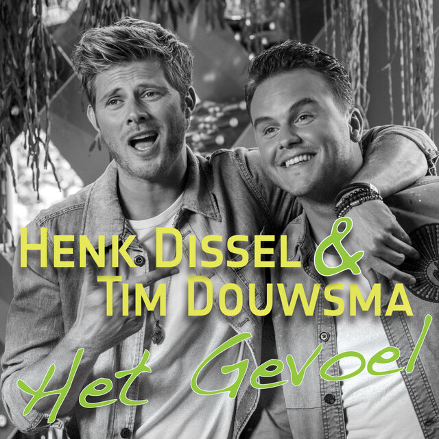 Het gevoel