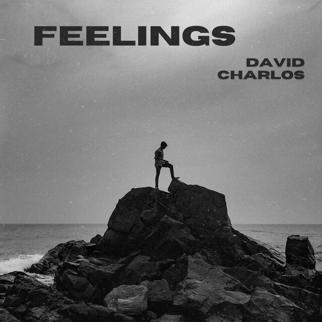 Feelings