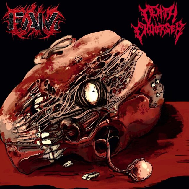 SPLIT 2025 with DEATH ENDORSER