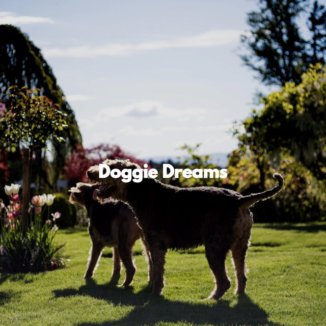 Doggie Dreams