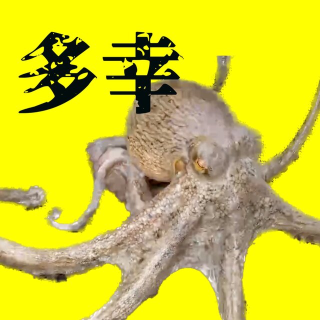 Tako